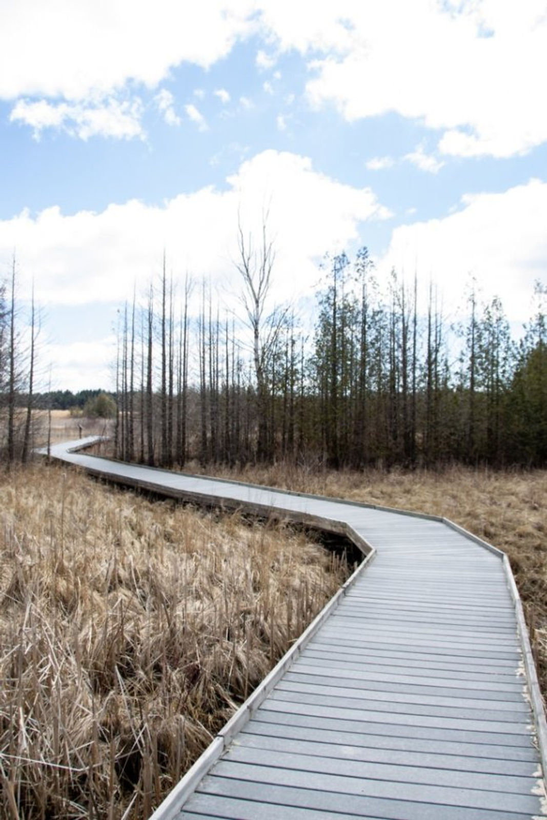 Presqu'ile Board Walk