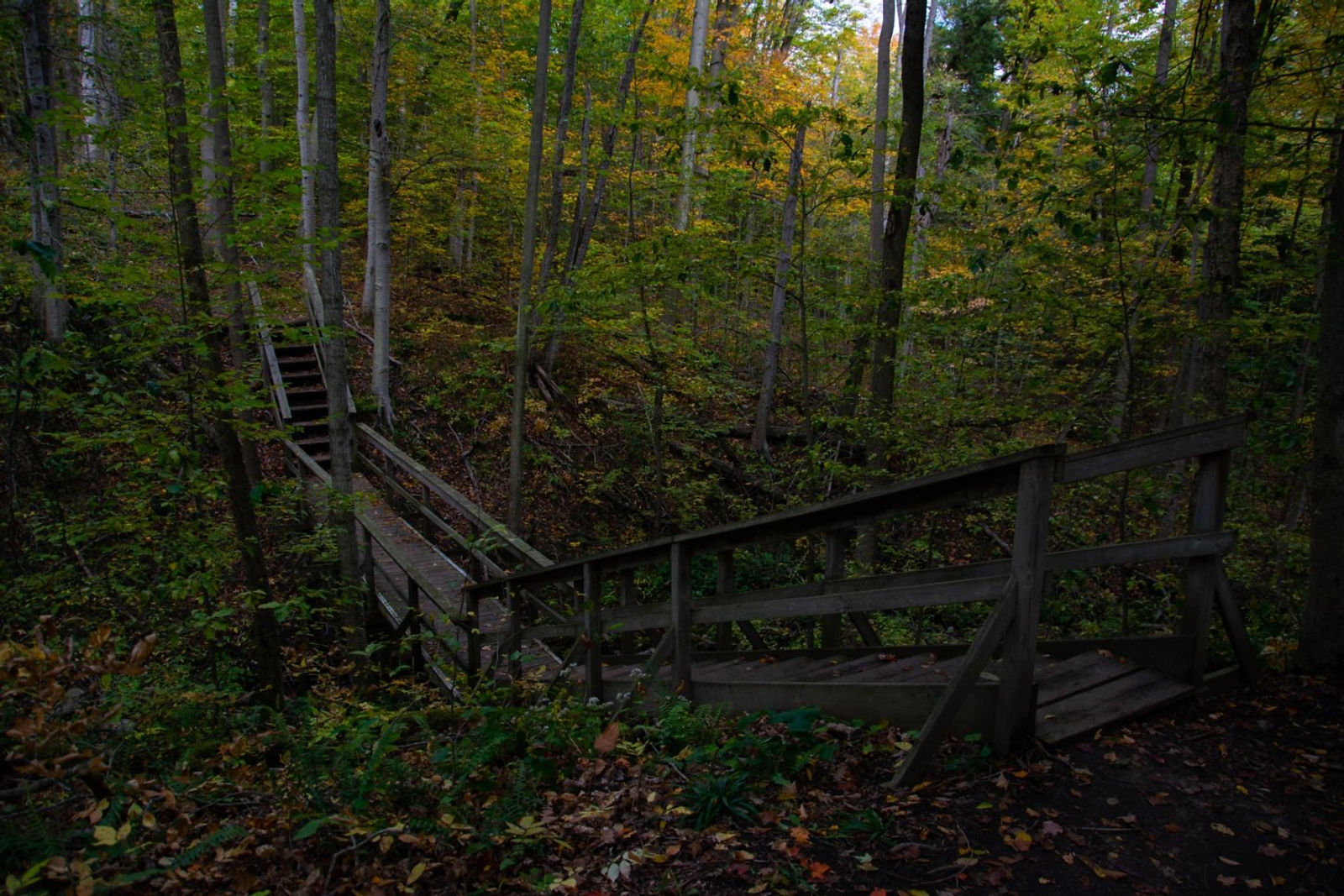 Proctor Park Bridge